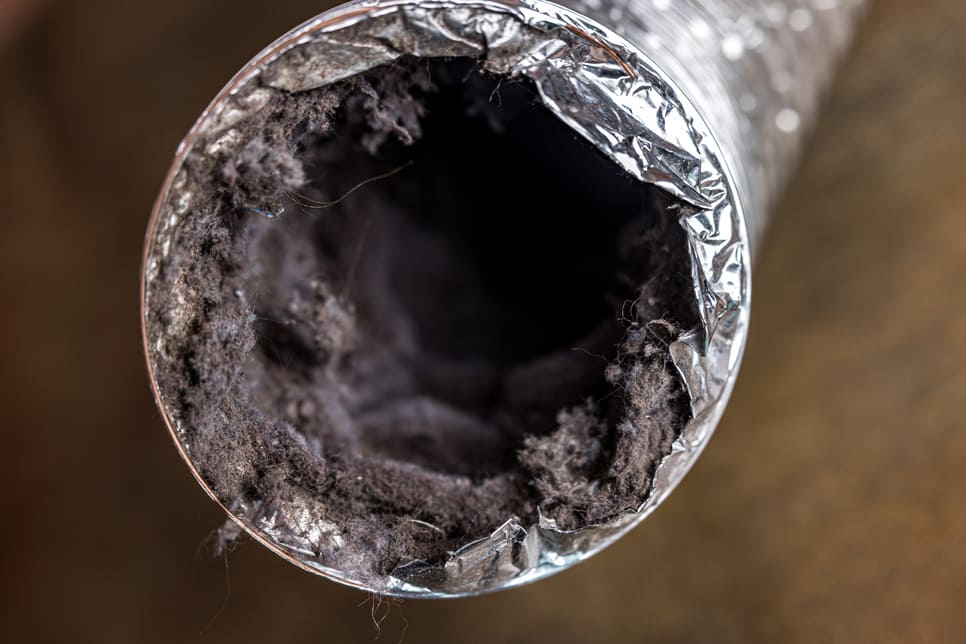 Cleaning Dryer Vent