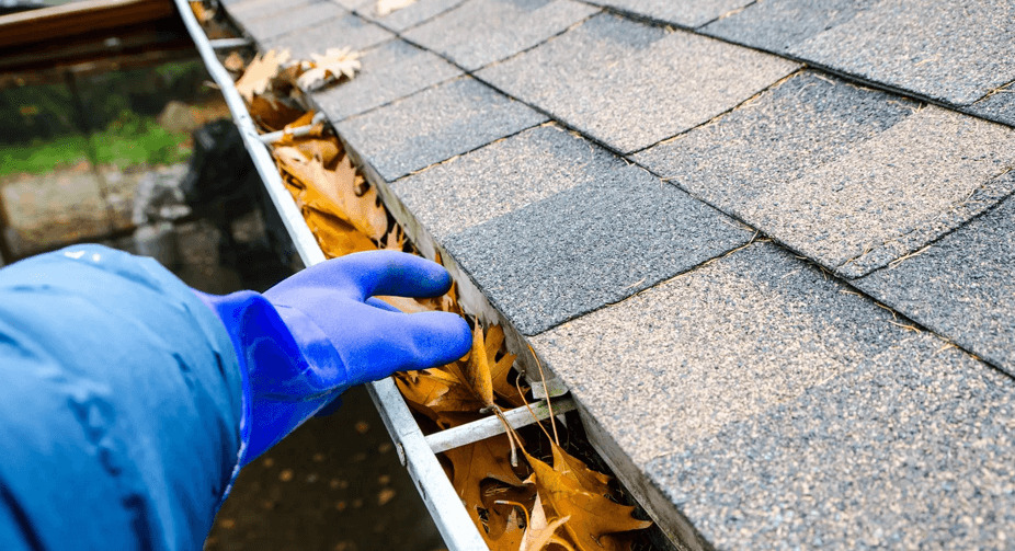 Cleaning Gutters