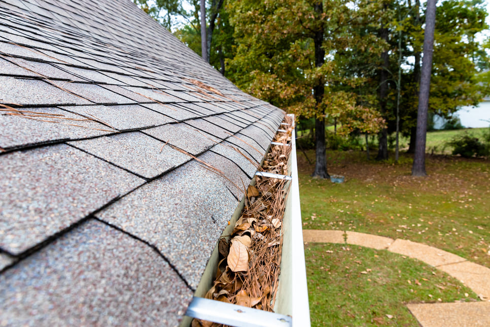 Clogged Roof Gutter